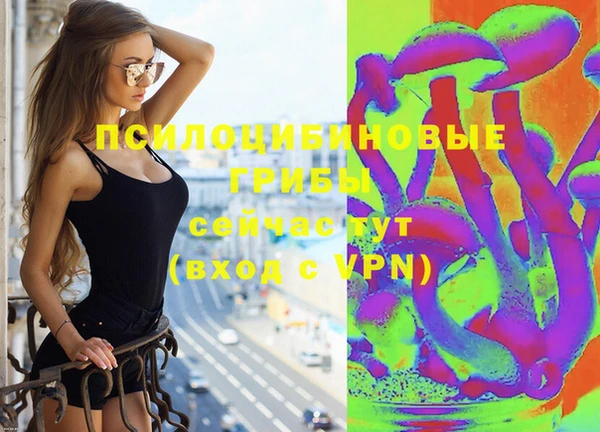 соль курить ск Дмитровск
