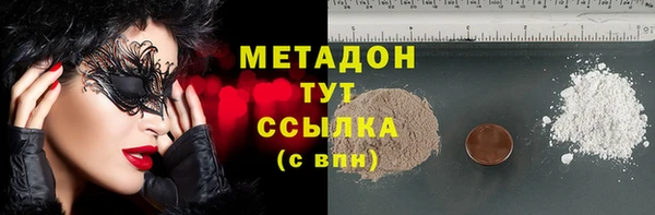 прущие грибы Дмитриев