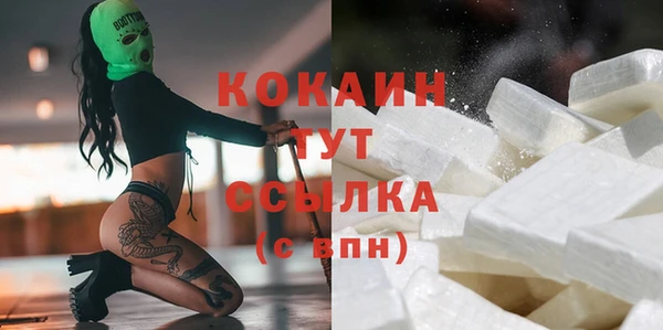 прущие грибы Дмитриев