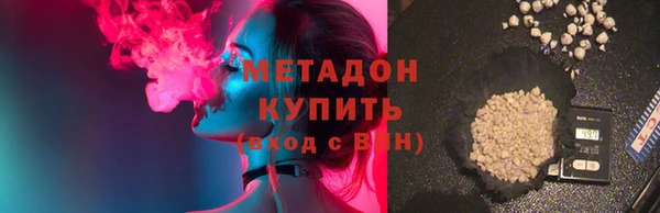 прущие грибы Дмитриев