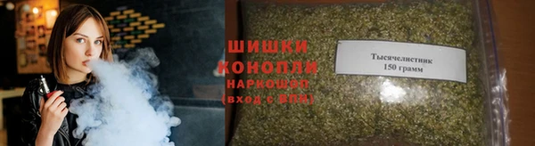 прущие грибы Дмитриев