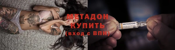 прущие грибы Дмитриев