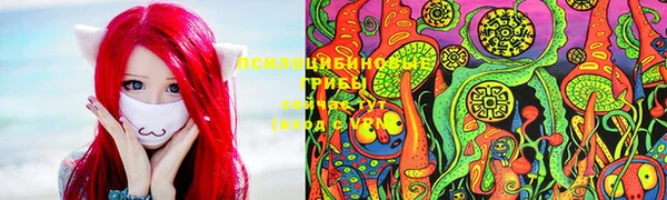 соль курить ск Дмитровск