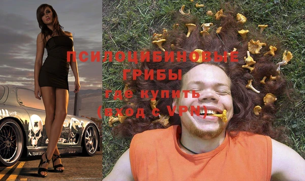 прущие грибы Дмитриев