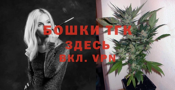 прущие грибы Дмитриев