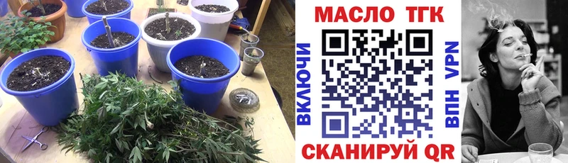 Купить закладки  Поворино  ТГК концентрат 