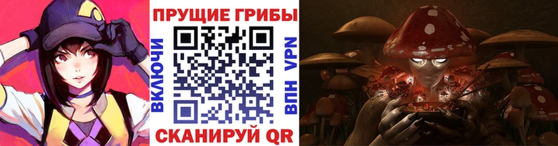 Купить  Поворино  Галлюциногенные грибы MAGIC MUSHROOMS 